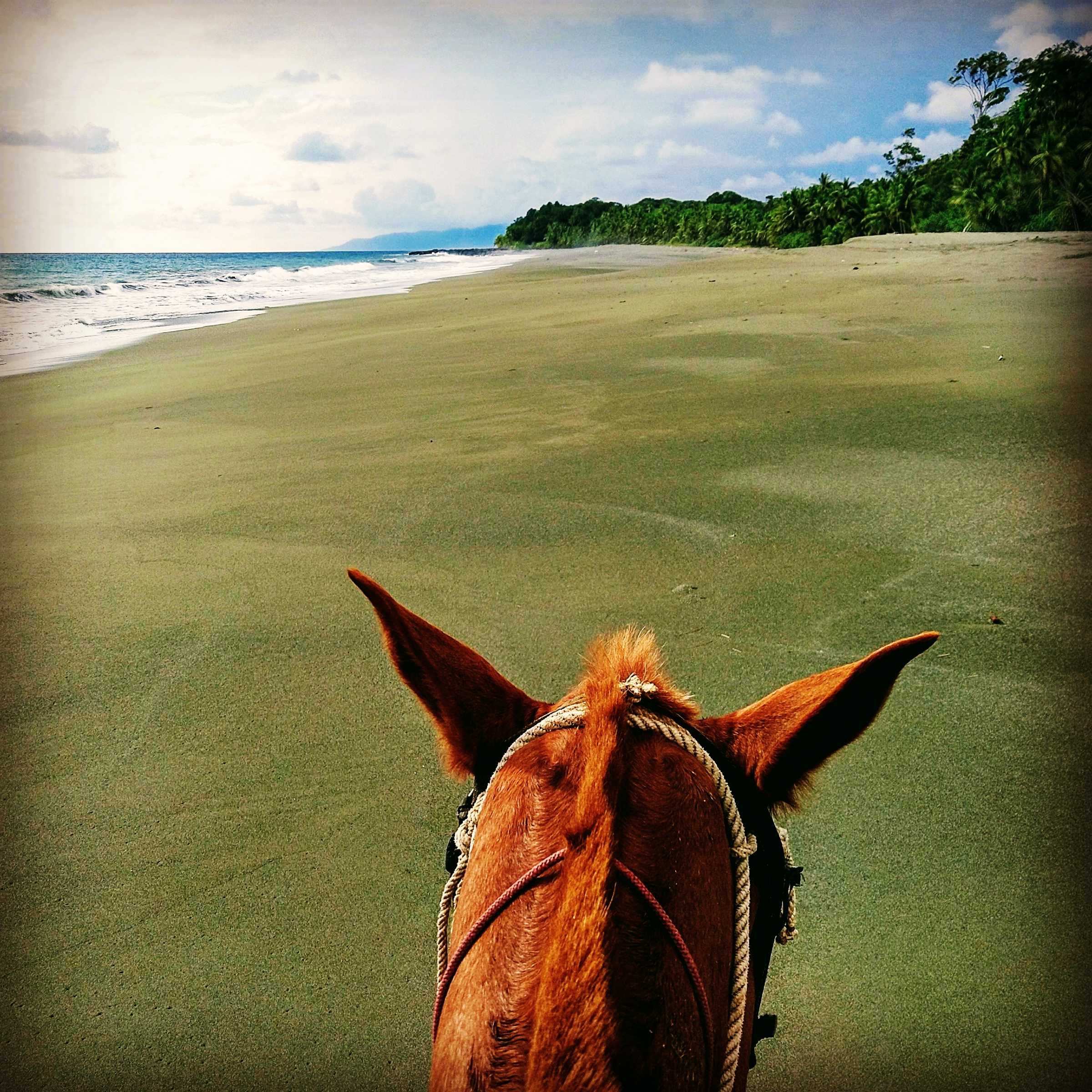 A person horseriding in an empty beach