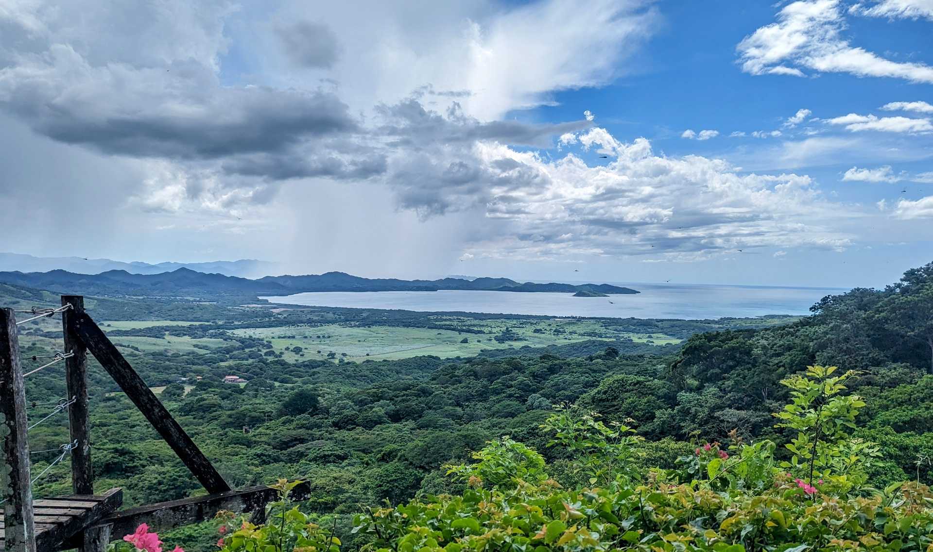 View of a bay full of nature