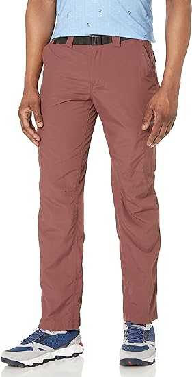 Columbia Men's Silver Ridge Cargo Pant