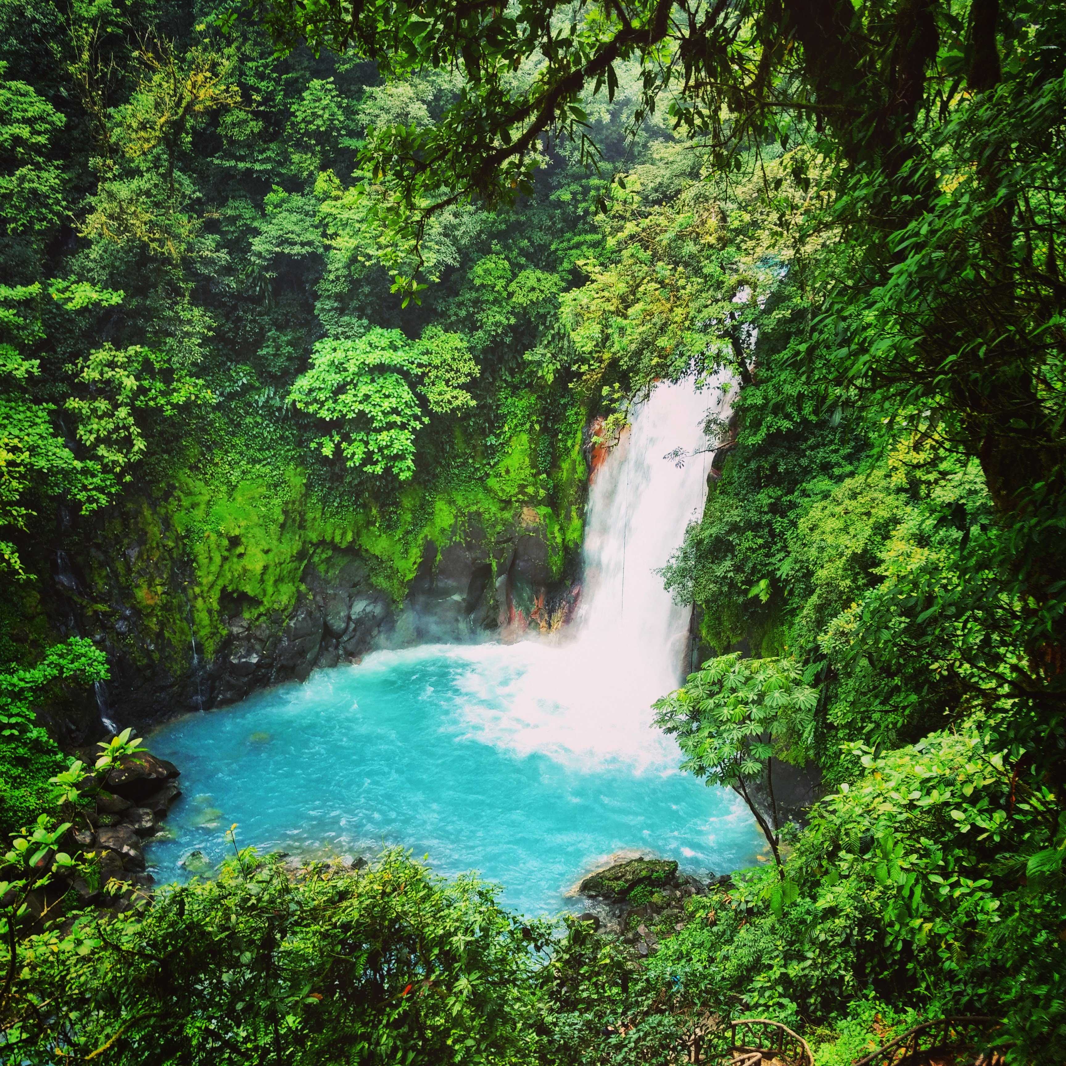 Rio Celeste waterfall and surrounding trees