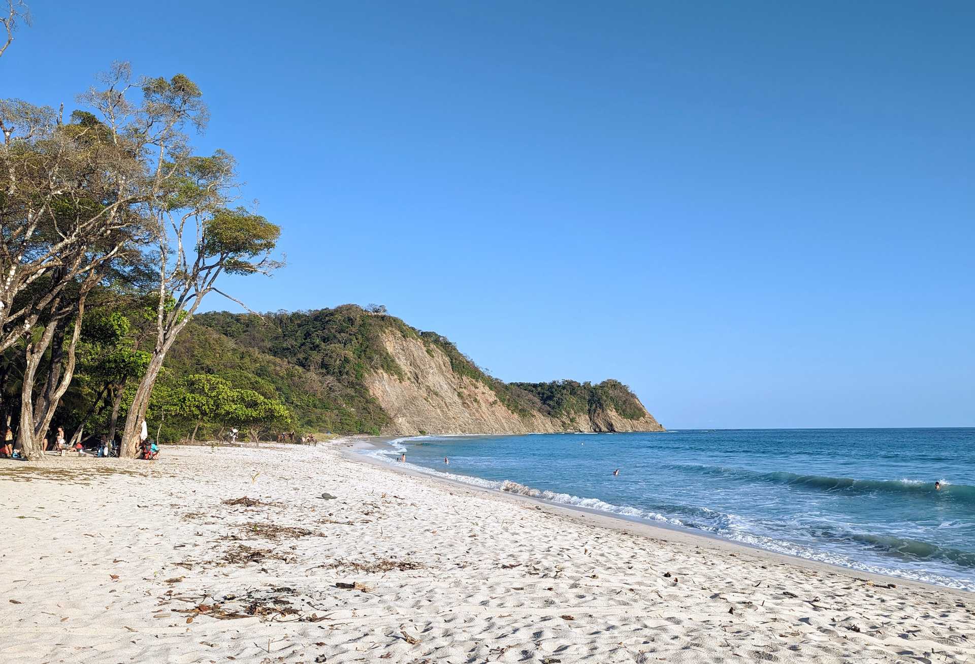 The ocean and a white sand beach surrounded by nature